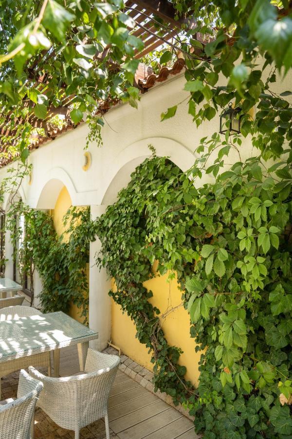 Villa Pontica Неводарі Екстер'єр фото