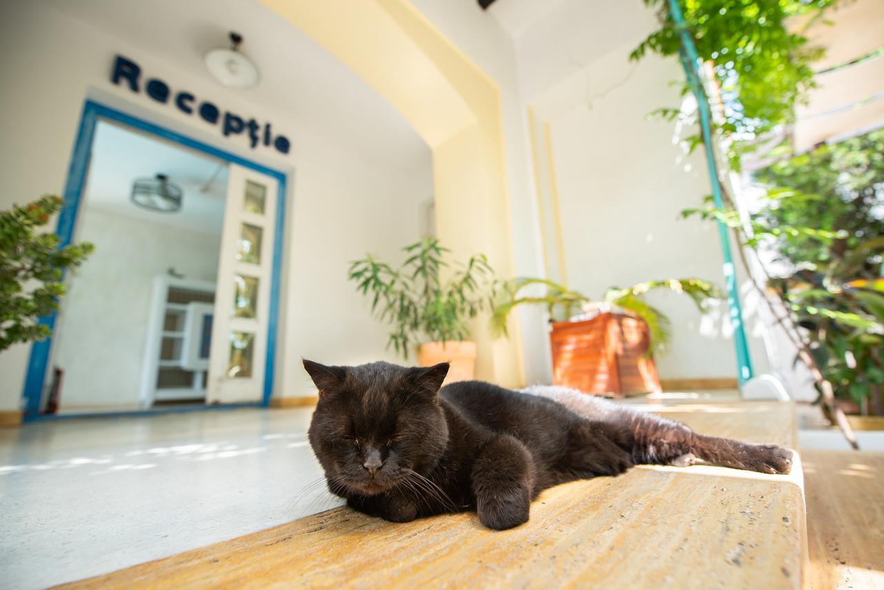 Villa Pontica Неводарі Екстер'єр фото
